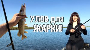 РЫБАЛКА НА ОБИ – ЩУЧКИ НА ЖАРЁХУ!