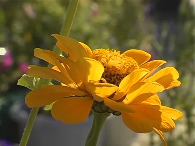 Как сотворить сказку своими руками (2014, часть 1) смотреть онлайн