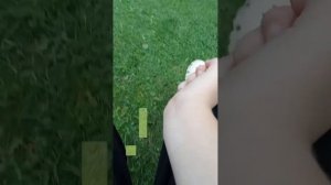 выживаем 24 часа на улице с сестрой😚)