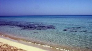 Россияне не пострадали при столкновении судна Right Whale с траулером Tafra 3