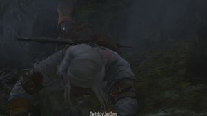 19. История Цири. Король волков