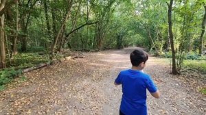 поход в лес