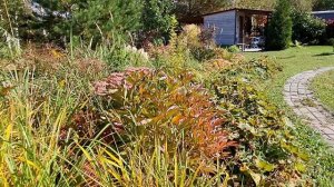 ОБЗОР. Сколько мест отдыха на 35 сотках