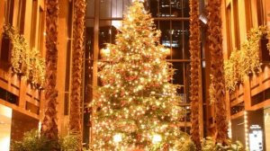 Էլմ.-269  ,,ՀԱՅՐ ՄԵՐ ԱՅԺՄ ԿՆՎԻՐԵՆՔ,,  -  նվագում է Անահիտ Մելքումյանը