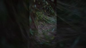 1000000325.mp4