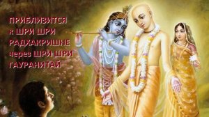 ПРИБЛИЗИТСЯ к РАДХАКРИШНЕ через ГАУРАНИТАЙ - Е.С. БХАКТИ ВИГЬЯНА ГОСВАМИ