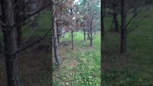 VID_20250920_184749.mp4