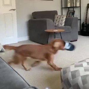 Внезапно понял, что в комнате он не один😁