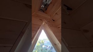 1000034968.mp4 (Собака наблюдает за устройством откосов у оконных проёмов з/фронтона дома А-фрейм)