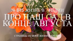 Про наш сад в конце августа. № 845 Жизнь в Англии
