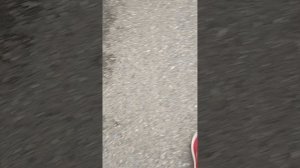 мороженое с шариками из кб