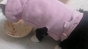 Кто не работает, тот ест! :))