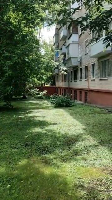 ВИД ДВОРА  НИКИТ 1К3КУДА ВЫХОДЯТ ОКНА