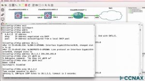 36\001 CCNA VLOG #065_ Routed ports, Switchports and SVIs - what and how_