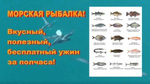 4. Морская рыбалка