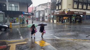 Jack Norton, extracts