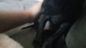 1000030728.mp4