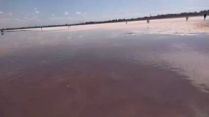 Сказочное розовое озеро счастья и здоровья! Сасык-Сиваш. 17.09.25. Крым