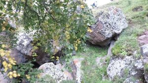 Вид на ущелье реки Кызылкол и Калинов мост через неё