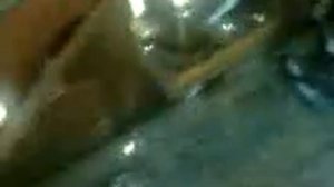 голуби детства #5