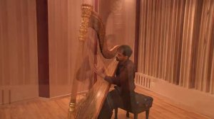 "Сад под дождем" - арфа