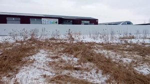 Косим камыши в Тюмени на линии