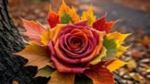 🌞Карт бланш дня 🌞20-09-2025🔆Мак таро прогноз ежедневный ✨✨✨✨