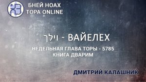 "Вайелех" 5785/2025. Недельные главы Торы - Парашат а-шавуа | Дмитрий Калашник