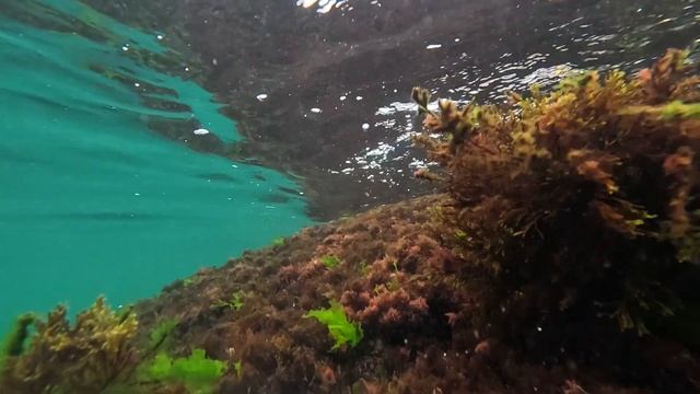 ▶️ Черное море у берегов Ялты Жизнь на море / Крым смотреть онлайн