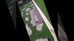 1000035133.mp4 (Собака смотрит на устройство части и/бруса над окнами в доме А-фрейм)