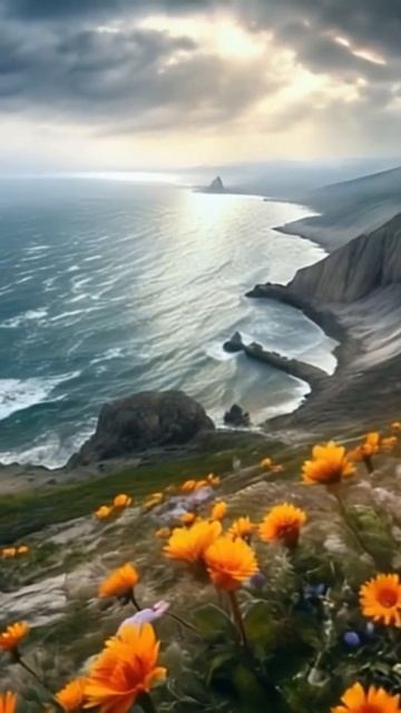 БЕРЕГ ЦВЕТЫ / КРЫМ #жизньнаморекрым #море #крым смотреть онлайн