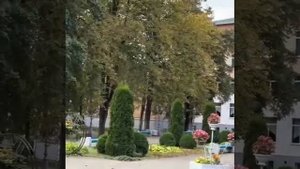 В Ульяновске, очевидно, готовятся к фестивалю уличных ландшафтов. Вот она любовь к своему делу.  Вид