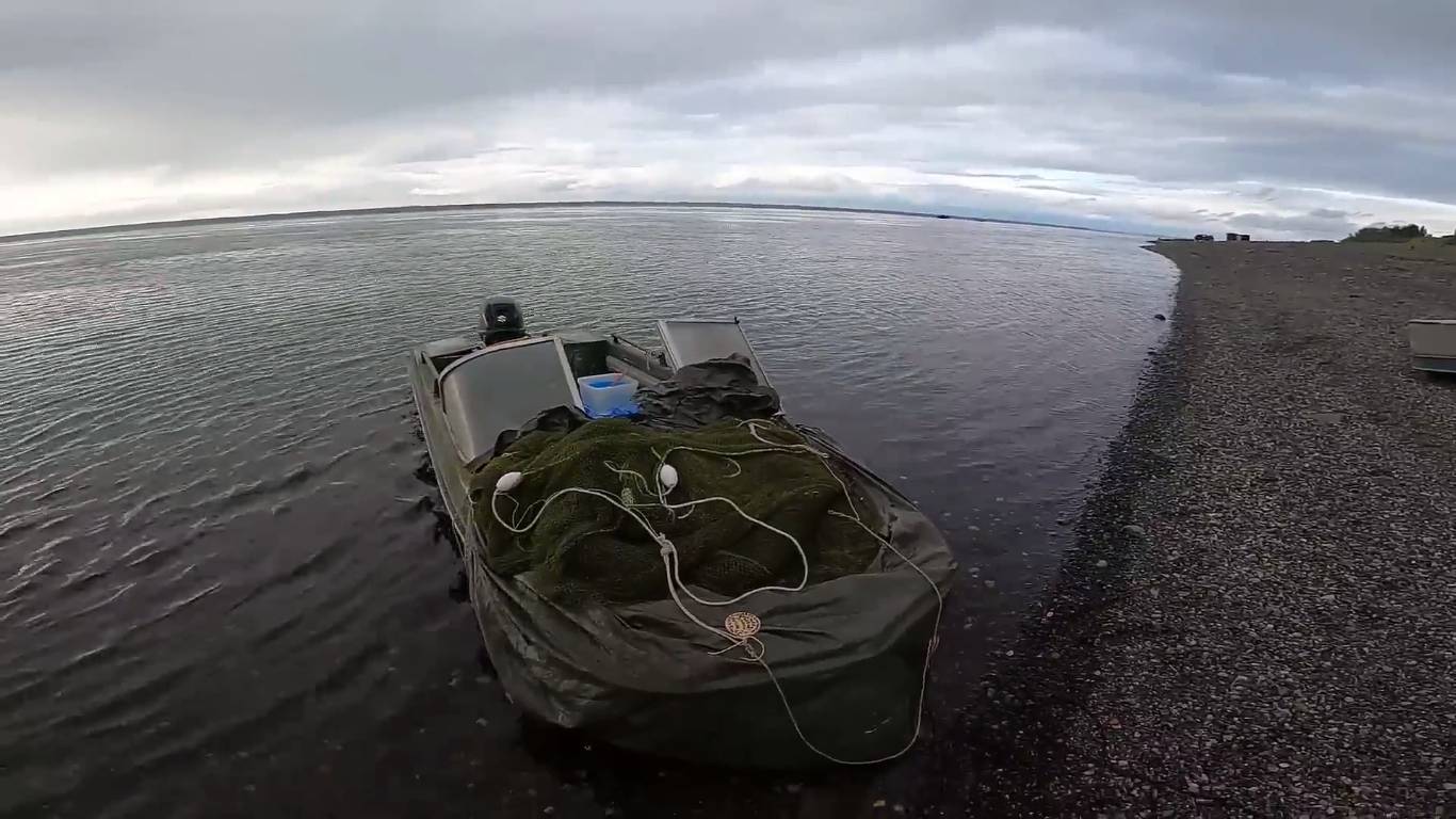 Рыбалка на Енисее. Невод. Новые правила рыболовства.