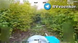 Украинец гулял с собакой и встретился с дроном русского спецназа в Сумской области