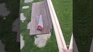 1000035128.mp4 (Собака смотрит на устройство части и/бруса над окнами в доме А-фрейм)