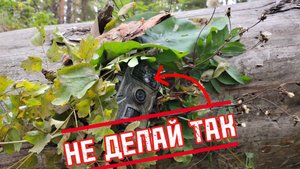 📸 ФОТОЛОВУШКА ПРОСТОЯЛА 20 ДНЕЙ В ЛЕСУ 🌄