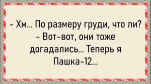Как городская у быка взяла! Сборник свежих анекдотов! Юмор
