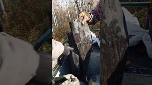 Поехали за клюквой на болото по экстремальной дороге #болотоход #болото #экстрим