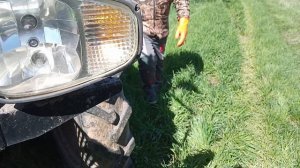 Арксойл ККР хороший антистрессант и стимулятор роста для растений