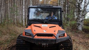 Экскурсия на Бакчарское болото 19.09.2025 - Полная версия