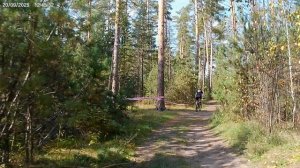 Пульс марафон 2025 шестая пятиминутка