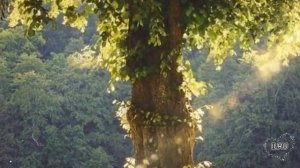 Истории из жизни "Измена мужа, неожиданная развязка" Жизненные истории / Читаем рассказы / слушать