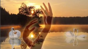 Андрей Ковалёв, - Горькое счастье, муз. и исп. Самуила Фрумовича