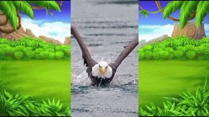 Лучшие моменты летних выпусков| Смешные пушистые друзья| 17 выпуск от 19.09.2025.