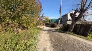 Добролюбова 10