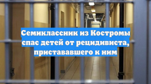 Семиклассник из Костромы спас детей от рецидивиста, пристававшего к ним