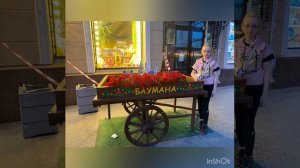 Кошка Карина в Казани👍