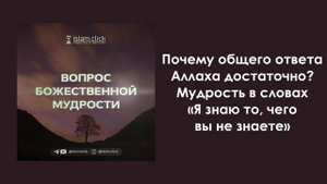 Почему общего ответа Аллаха достаточно? Мудрость в словах "Я знаю то, чего вы не знаете". Абу Яхья