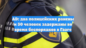 AD: два полицейских ранены и 30 человек задержаны во время беспорядков в Гааге