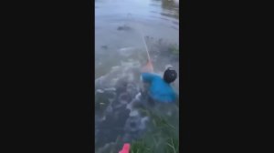 Подборка прикольных видео #3